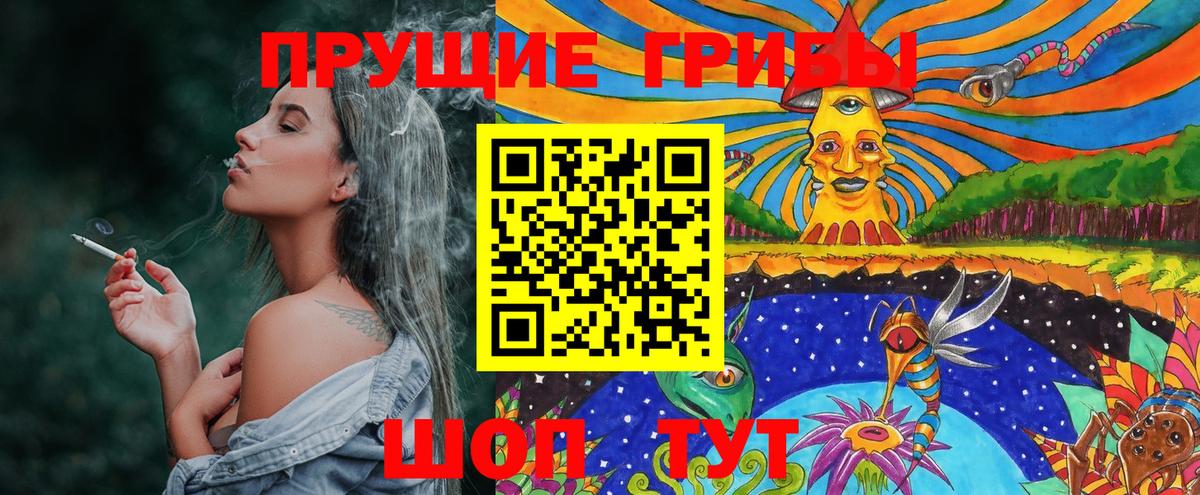 Псилоцибиновые грибы Cubensis Можга